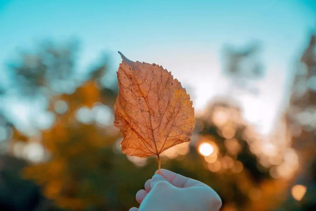 日常的平淡能杀灭所有的志气！(图1)